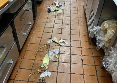 Building Cleaning Service